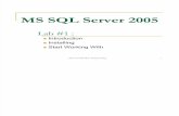 SQL Server 2005 _ Lab 1