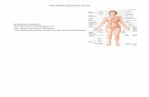Anatomy, Lecture 1, Inroduction to Anatomy (slides)