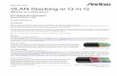 VLAN Stacking (QinQ)
