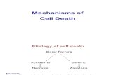 Mechanisms of Cell Death Notes