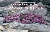 Türkiye’nin 120 Alpin Bitkisi - 120 Alpin Plants of Turkey