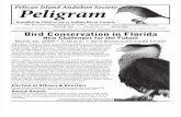 March 2009 Peligram Newsletter Pelican Island Audubon Society