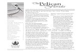 Spring 2009 Pelican Newsletter, Florida Sierra Club