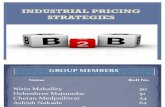 Final Industrial Pricing Strategy