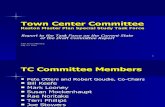 Draft Reston TC Committee Presentation 7-27-10
