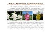The Urban Gardener No 21