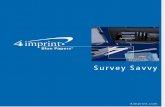 Survey Basics Blue Paper