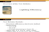 2007 DSM Lighting Program Changes