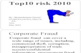 Top10 Risk 2010