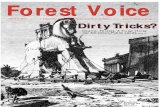 Forest Voice Summer 2002