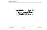 nam Handbook of Accounting Guidelines