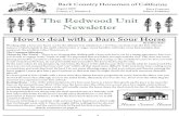 Redwood Unit Newsletter, August 2009 ~ Back Country Horsemen of California