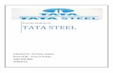 Security Analysis of TATA STEEL
