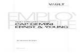 VEP-Cap Gemini Ernst & Young 2003