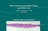 Dermatopathology Patterns-1