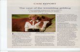 Equus Case Report