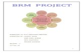Brm Final Project 12th Jan