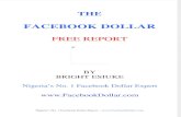 Facebook Dollar Report