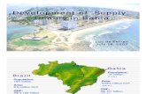Development of Supply Chains in Bahia
