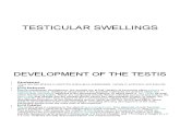 Testicular Swellings