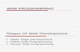 Intro Web Programming