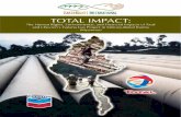 Human Rights and Financial Impacts of Total and Chevron's Yadana Gas Project in Military-Ruled Burma (Myanmar)