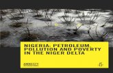 NIGERIA: PETROLEUM, POLLUTION AND POVERTY IN THE NIGER DELTA