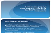 Echocardiography - Effusions