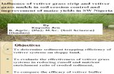 Influence of Vetiver Grass System on Slope Stabilization POWER POINT by Are