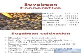 Soyabean cooperatuve