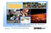 Burden of Injury Full Report