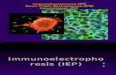 Immunoelectrophoresis (IEP), Serum Protein Electrophoresis (SPE) & Immunofixation (IFX)