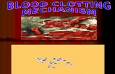 Sub 1.3 - Blood Clot Mechanism