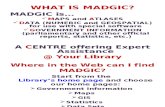 What is Madgic Blogrev 2009