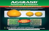 Aggrand Veg/Fruit Comparison