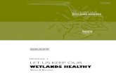 Keep Wetland Healthy