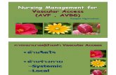 Nursing Management for Vascular Access