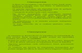 Biologia PPT - Botânica - Gimnospermas 01