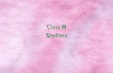 Shelters Class III