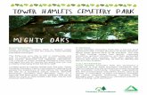 Oak Case Study: Tower Hamlets Cemetery Park