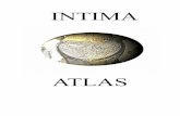 Revista intima atlas