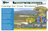 LINS- Caring for Your Wetland