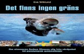 Det finns ingen gräns - om simmaren Anders Olsson
