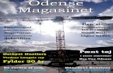 Odense magasinet maj 2015