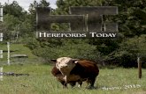 Herefords Today - Spring Issue 2015