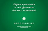 Презентация франшизы Megaflowers