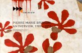 PIERRE MARIE BRISSON: AN OVERVIEW, 1989 – 2015