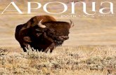 Aponia Issue 4 - June