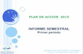 Informe semestral plan de accion 2015