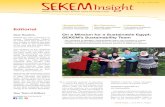 SEKEM Insight 06.15 EN